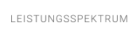 LEISTUNGSSPEKTRUM